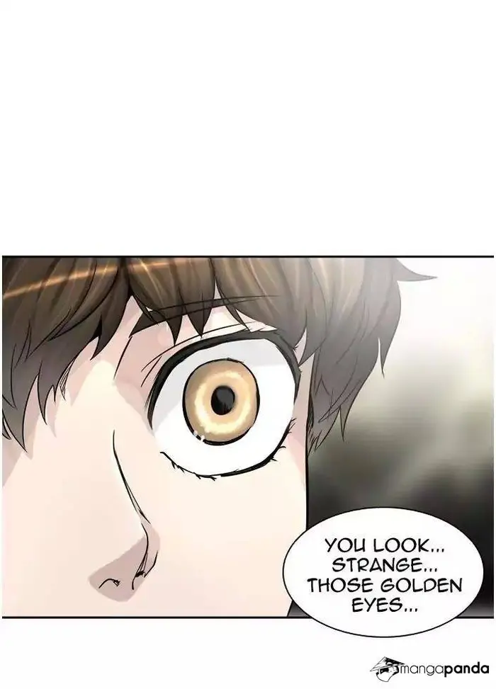 Tower of God Chapter 385 image 73_optimized